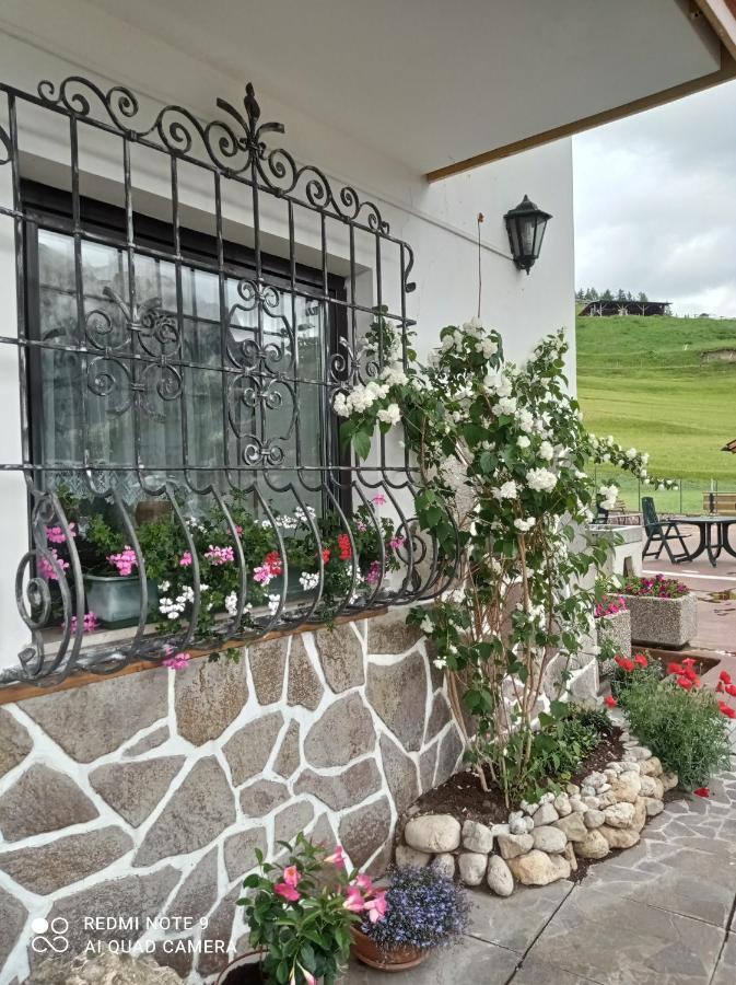 Hotel Millefiori 비고디파사 외부 사진