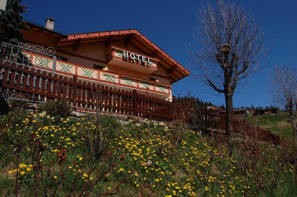 Hotel Millefiori 비고디파사 객실 사진